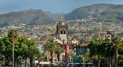 a city with a clock tower and palm trees at PERFECT DUPLEX PISCINE Zone VIP Funchal in Funchal