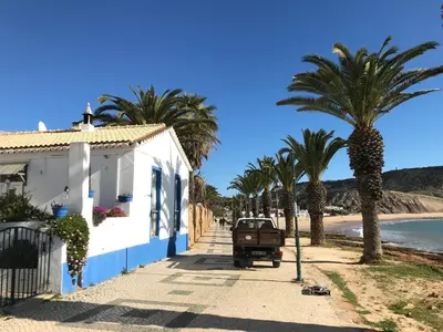 a house on the beach with palm trees at Mar da Luz Terrace Apt 118 in Lagos