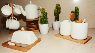a group of white pots and cactuses on a counter at La Casa de la Abuela in Ponta do Sol