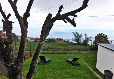 two chairs sitting in a yard next to a tree at La Casa de la Abuela in Ponta do Sol