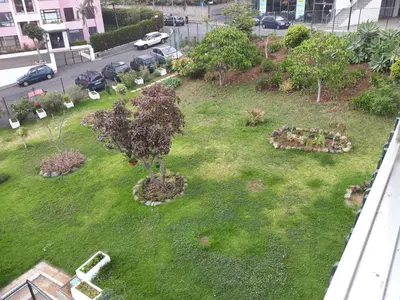 an aerial view of a garden with a tree in the grass at Apartamentos América - Blue Sea II in Funchal