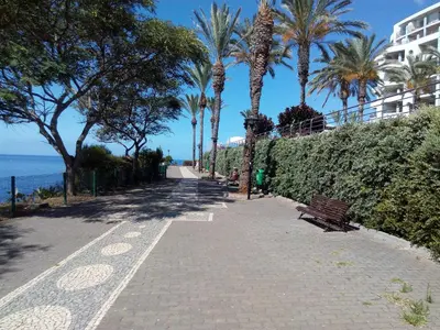 a sidewalk with a bench and palm trees next to the ocean at Apartamentos América - Blue Sea II in Funchal