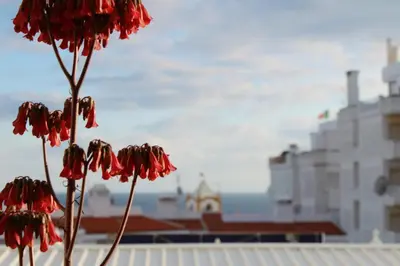 a group of red flowers in front of a building at Casa Luztour in Luz