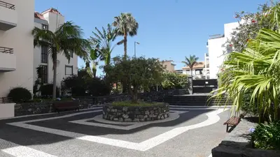 a courtyard with a tree and benches and palm trees at Jasmineiro - Palms Palace Apartment in Funchal