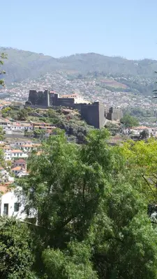 a view of a city with a castle on a hill at Jasmineiro - Palms Palace Apartment in Funchal