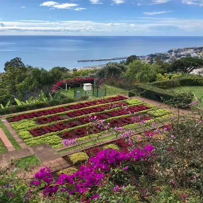 a garden with purple flowers and the ocean in the background at Sol & Mar Camara de Lobos in Câmara de Lobos