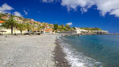 a beach with buildings and palm trees next to the water at Apartamento Estefânia in Santa Cruz