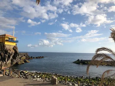 a group of penguins standing on the rocks near the ocean at Villa Ponta do Sol Apartment in Ponta do Sol