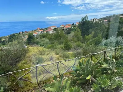 a view of the ocean from a hill with plants at ModuLAR in Calheta
