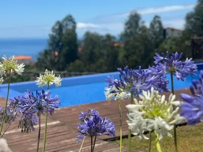 a bunch of purple and white flowers on a wooden table at ModuLAR in Calheta