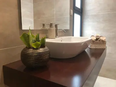 a bathroom with a sink and a plant on a counter at Villa Palheiros in Arco da Calheta