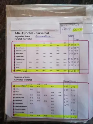 a box filled with a table of receipts at Top view in Ponta do Sol