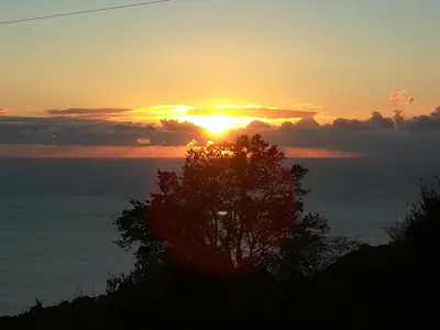 a sunset over the ocean with a tree in the foreground at Top view in Ponta do Sol