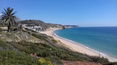 a beach with a palm tree next to the ocean at DOCEVIDA Appartement # Ocean View in Salema