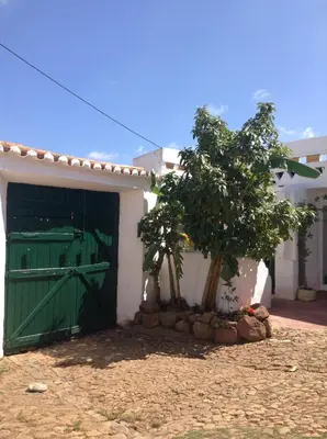 a green door on the side of a house with a tree at Salmoura in Vila do Bispo
