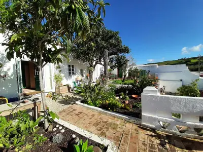 a garden with trees and a white house at Salmoura in Vila do Bispo