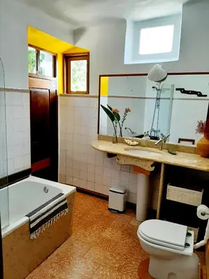 a bathroom with a tub and a toilet and a mirror at Salmoura in Vila do Bispo