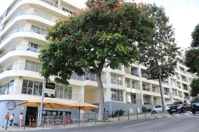 a large white building with a tree in front of it at Uptown Madalenas in Funchal