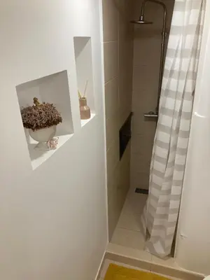 a bathroom with a shower and a plant on a shelf at Casa do Atlântico in Funchal