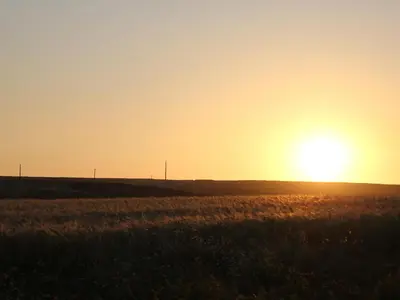 a field with the sun setting in the horizon at Monte de Santo Antonio - Turismo Rural in Vila do Bispo