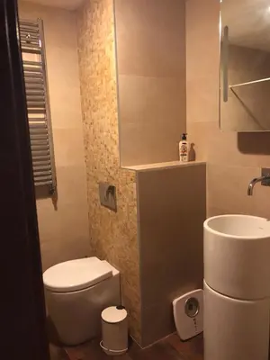 a small bathroom with a toilet and a sink at Varandas do Funchal in Funchal