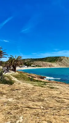 a beach with palm trees and the ocean at Apartamentos Sol da Luz in Luz