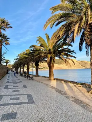a sidewalk lined with palm trees next to a body of water at Apartamentos Sol da Luz in Luz