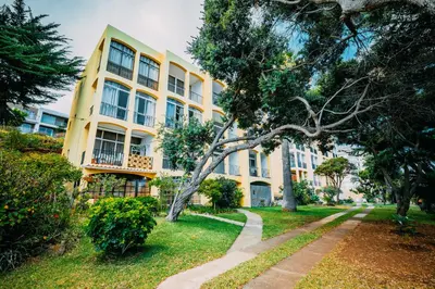 a yellow building with a tree in front of it at Sea Breeze I in Caniço
