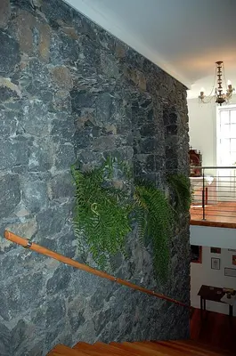 a stone wall with green plants on it at Estalagem do Vale in São Vicente