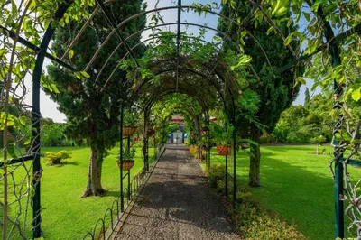 an archway in a park with trees at Quinta Jardins do Lago in Funchal