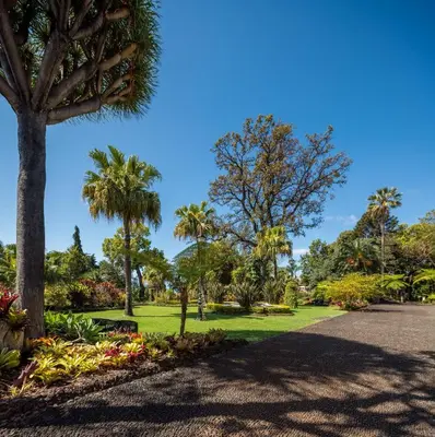 a park with palm trees on a sunny day at Quinta Jardins do Lago in Funchal