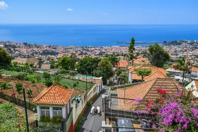 a room with a bed and a red carpet at Quinta Mirabela - Design Hotel in Funchal