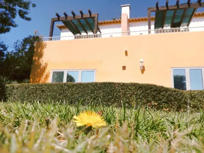 a house with a flower in the grass at Quinta dos Caracois in Lagos