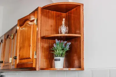 a wooden cabinet with a potted plant in it at Casa da Avó in Espiche