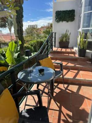 a pot of plants sitting on a window sill at Monte Verde in Funchal