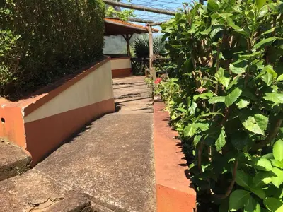 a walkway in a garden next to some bushes at Casa d'Olívia in Porto da Cruz