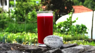 a glass of red drink next to a rock at Solar da Bica in São Vicente