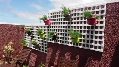 a white building with potted plants on it at the old school in Calheta