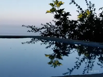 a reflection of a tree in a body of water at Canto da Manu Panoramic in Calheta