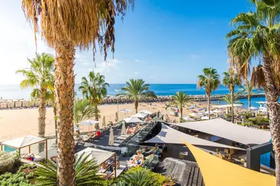 a view of a beach with palm trees and the ocean at Calheta Beach - All-inclusive - Savoy Signature in Calheta