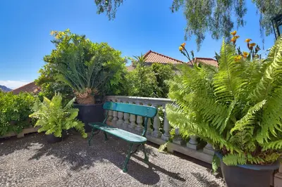 a green bench in a garden with plants at Hotel Monte Carlo in Funchal