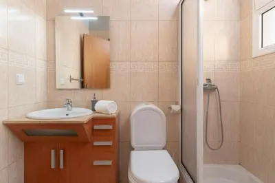 a bathroom with a toilet and a sink and a shower at Charming Villa in Funchal in Funchal