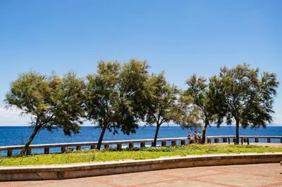 a row of trees in front of the ocean at Apartamento Reis Magos in Caniço