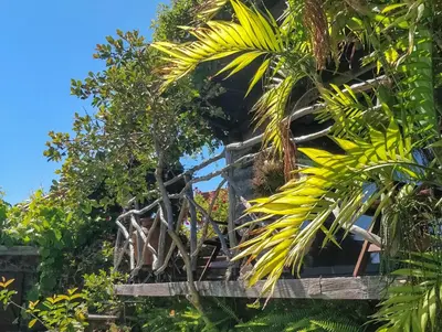 a building surrounded by trees and plants at Calhau Grande in Arco da Calheta