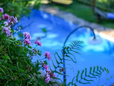 a blue pond with pink flowers in a yard at Calhau Grande in Arco da Calheta