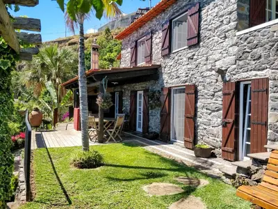a stone house with a palm tree in the yard at Calhau Grande in Arco da Calheta