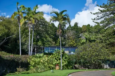 a building with palm trees in front of a yard at Quinta da Casa Branca - Small Luxury Hotels of the World in Funchal
