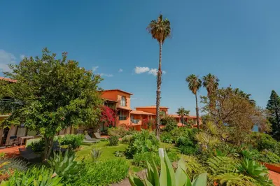 a house with palm trees and a yard with plants at Quinta Splendida Wellness & Botanical Garden in Caniço