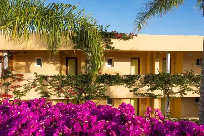a building with pink flowers in front of it at Vila Luz in Luz