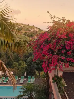 a view of a resort with pink flowers and a swimming pool at Villa Alto Boutique Hotel in Ponta do Sol